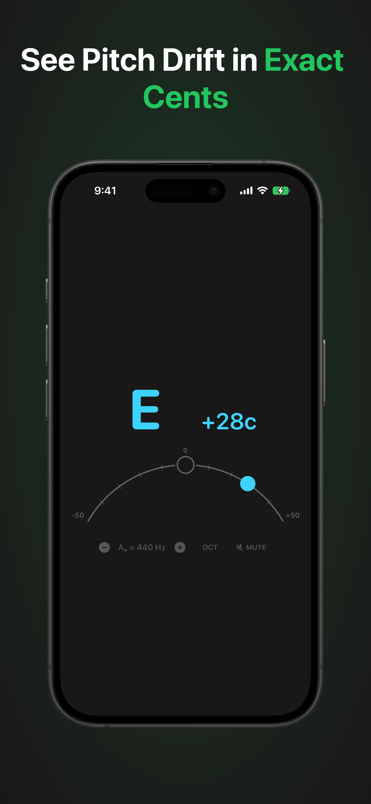 Chromatic Tuner AUv3 screenshot 3