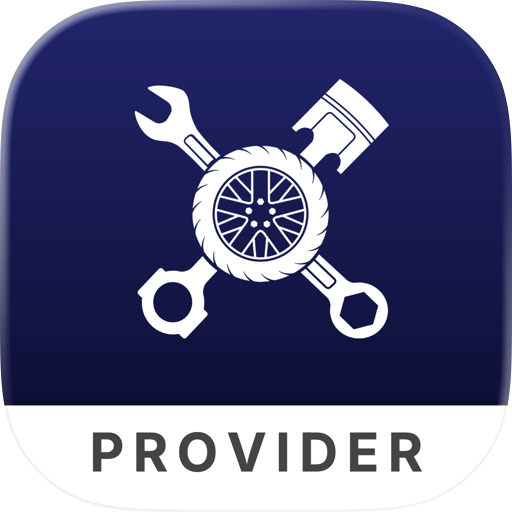 Repair Provider