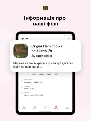 Студія Flamingo iPad screenshot