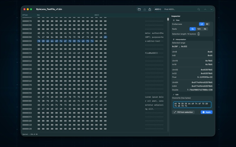 Byte Lens screenshot 1