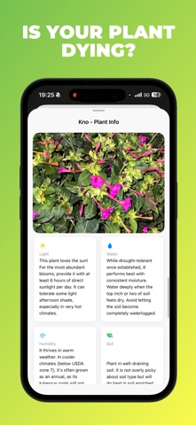 拍照识花与植物诊病 Kno screenshot