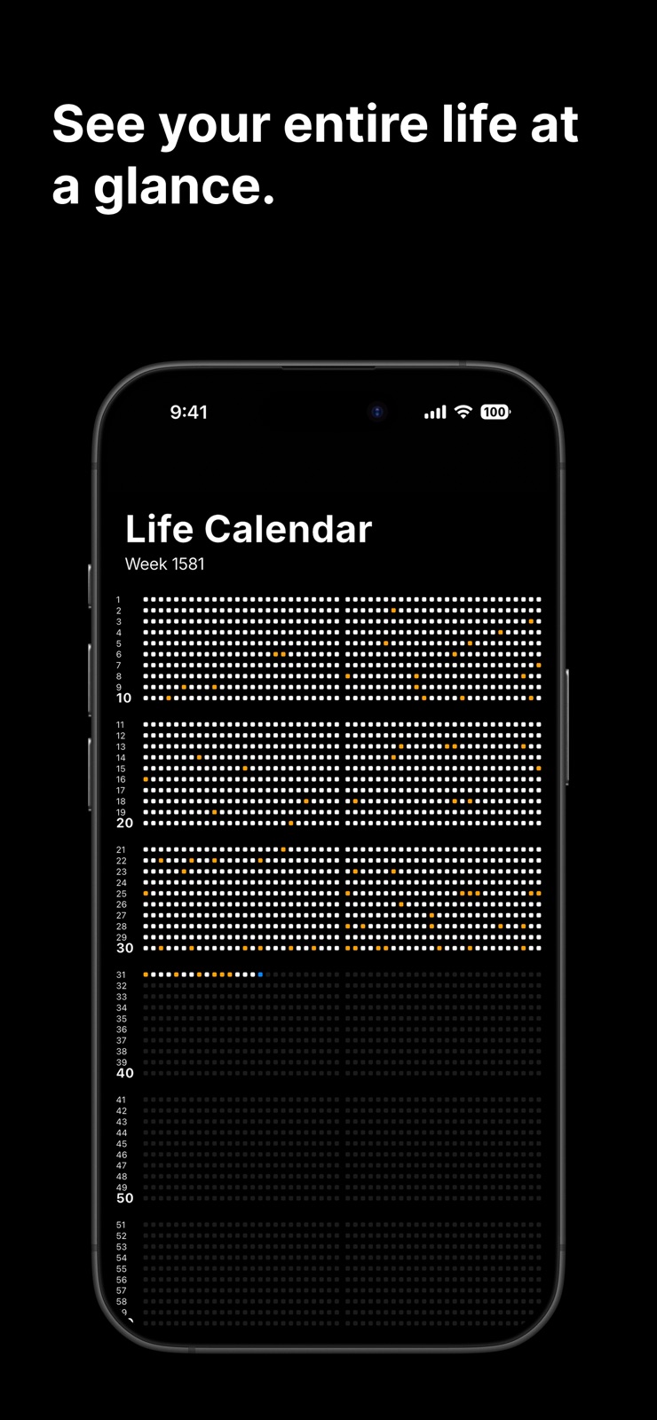 Life Calendar: Visual Timeline iphone screenshot 2