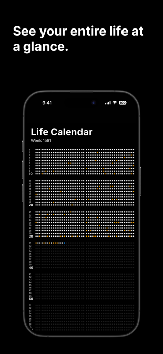 Life Calendar: Visual Timeline Screenshot 2 of 7