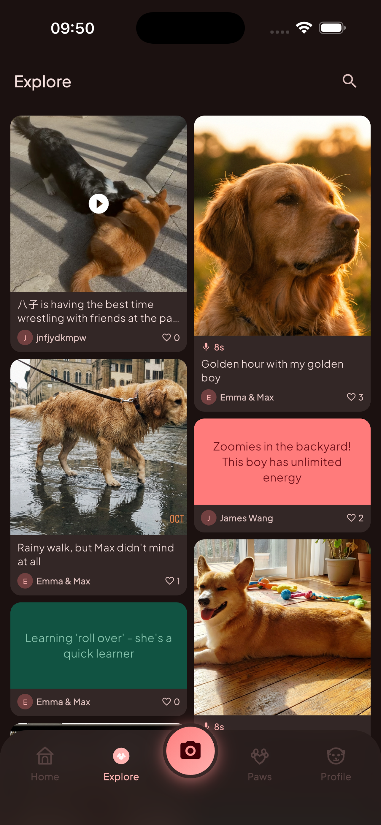 DogJoy - Dog Diary & Pet Game screenshot 4