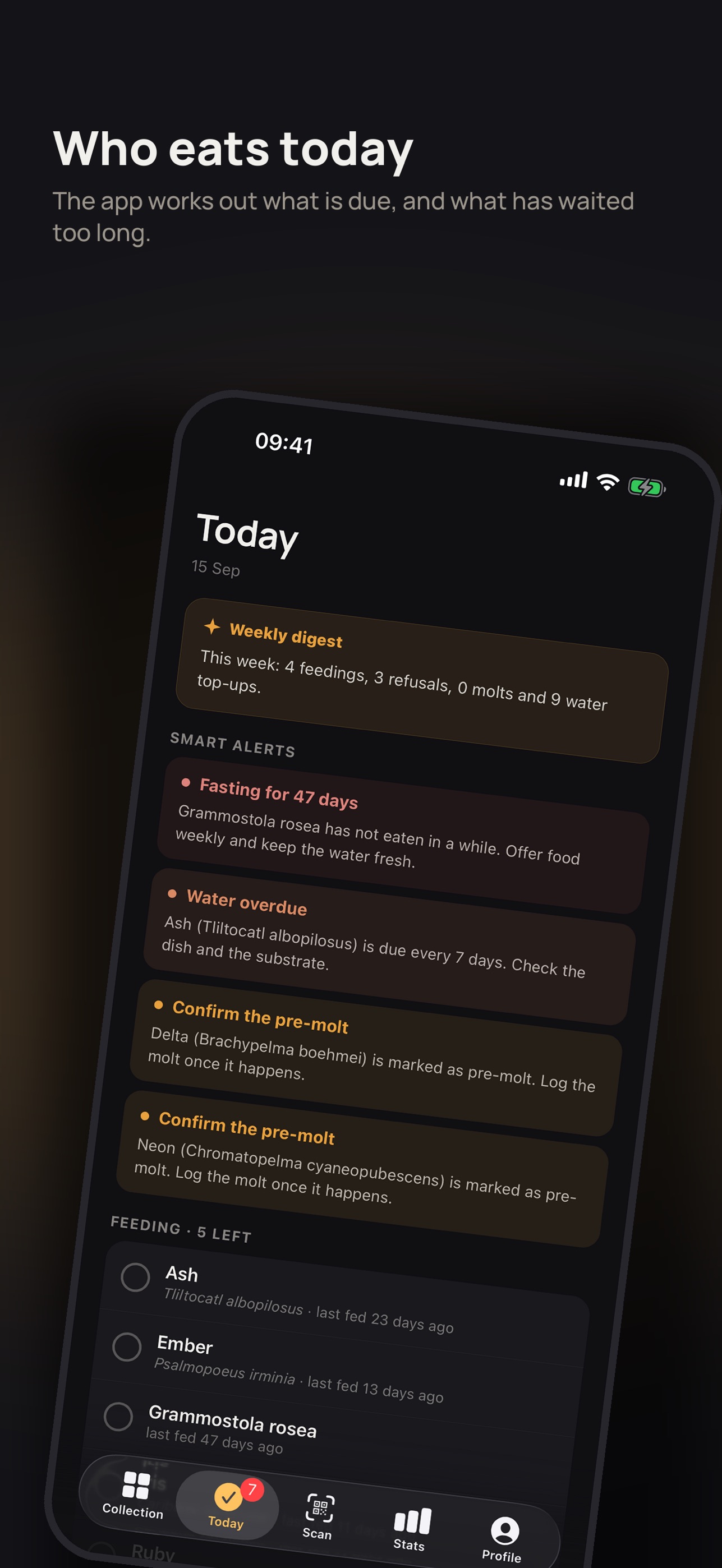 Screenshot 4 of Exuvia: Tarantula & Spider