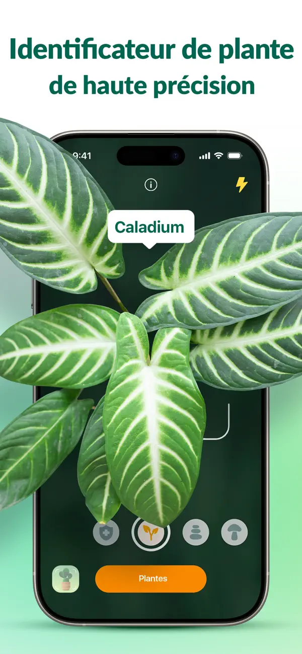 Screenshot #1 pour Plantum - Reconnaitre plantes