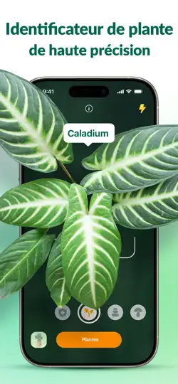 Capture d'écran de Plantum - Reconnaitre Plantes sur iPhone 1