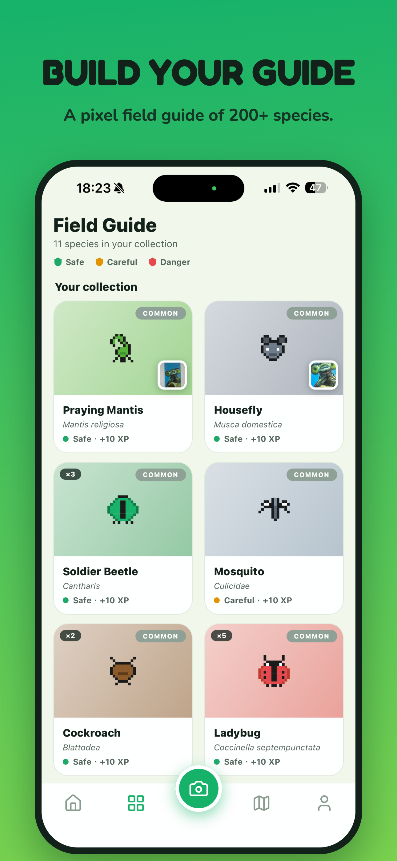 Peekabug：AI Bug Identifier screenshot 5