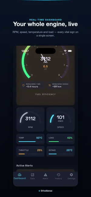 DriveSense: OBD2 Car Scanner screenshot 2