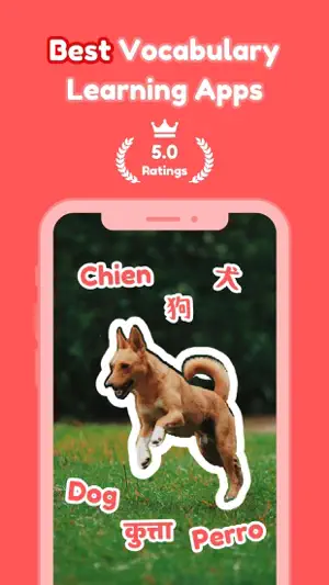 Photovocab: Vocab Flashcards screenshot 1