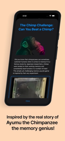 Chimp Champ Ayumu's Brain Game Screenshot 5 of 5