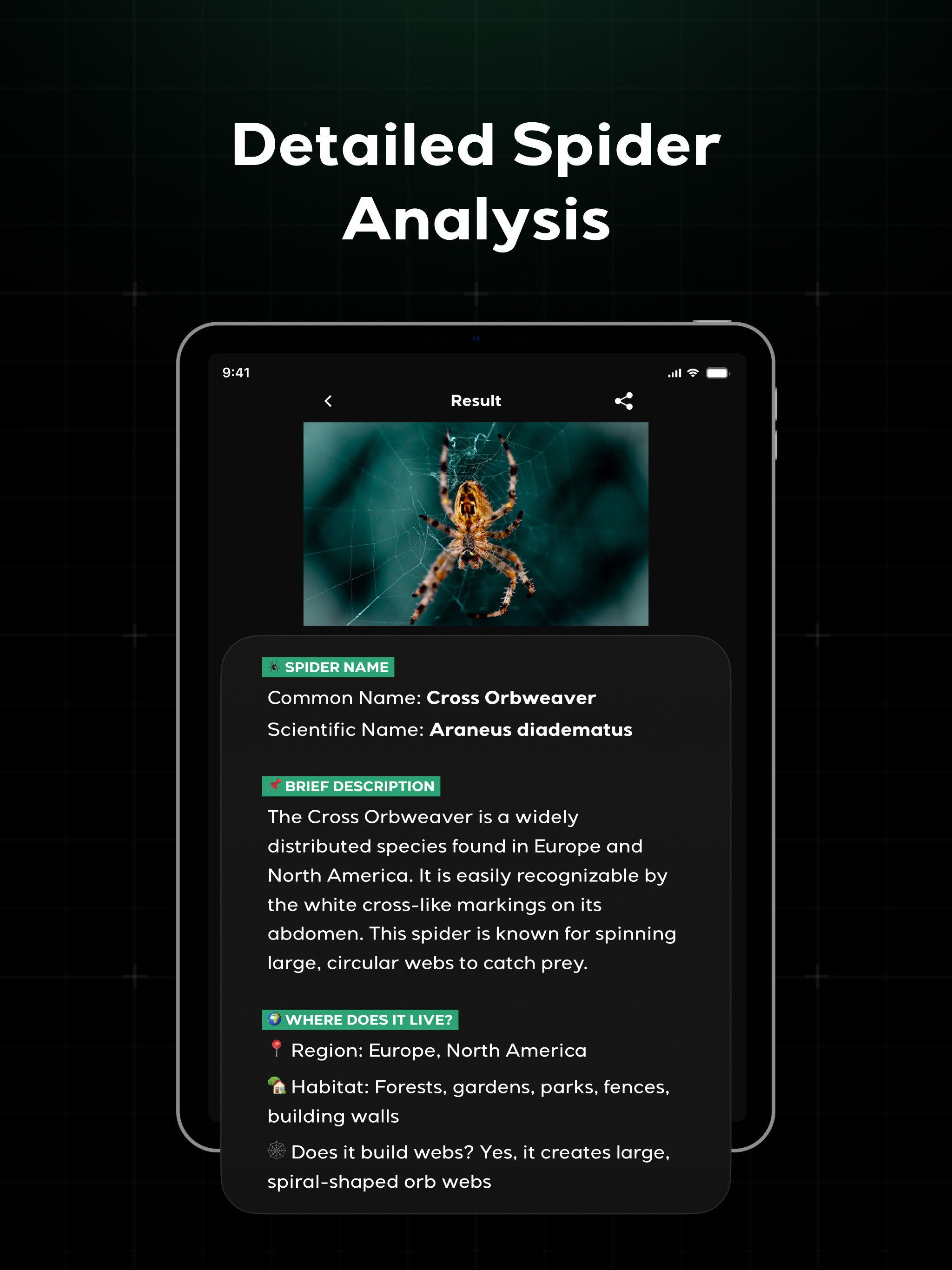 Spider Identifier - Insect ID screenshot 7