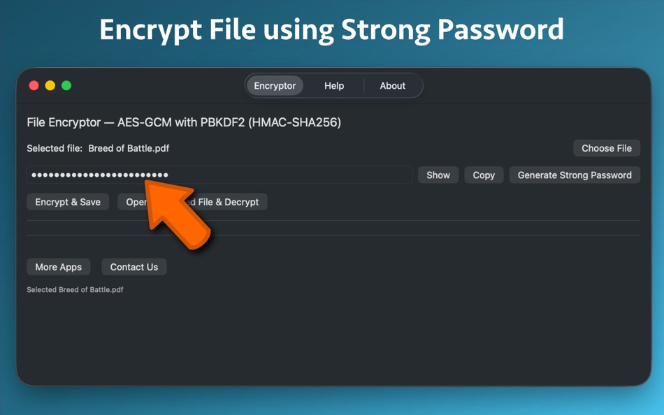 #2. Secure File Encryptor Pro (macOS) 来自: Nikhil Anshuman