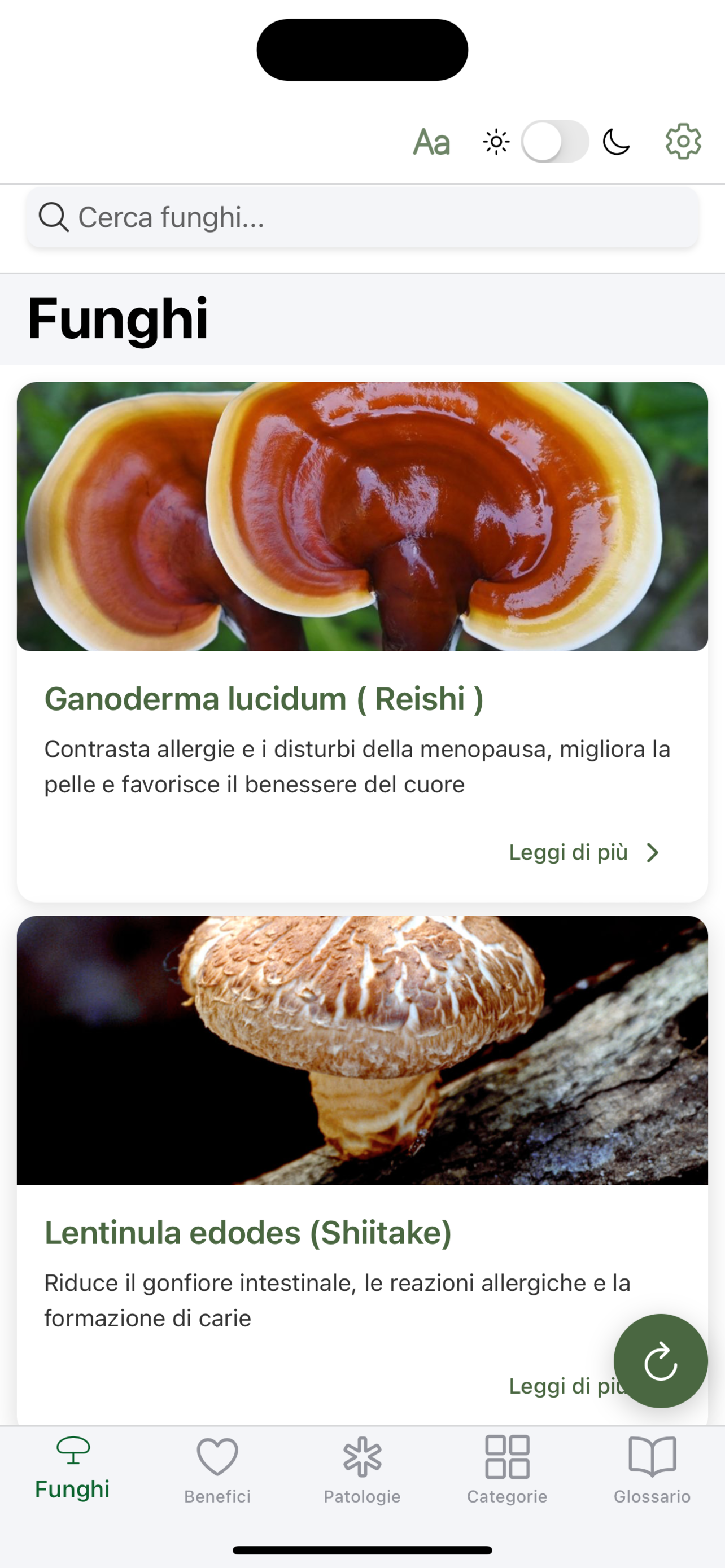 Fungi Therapy: Mushroom Guide