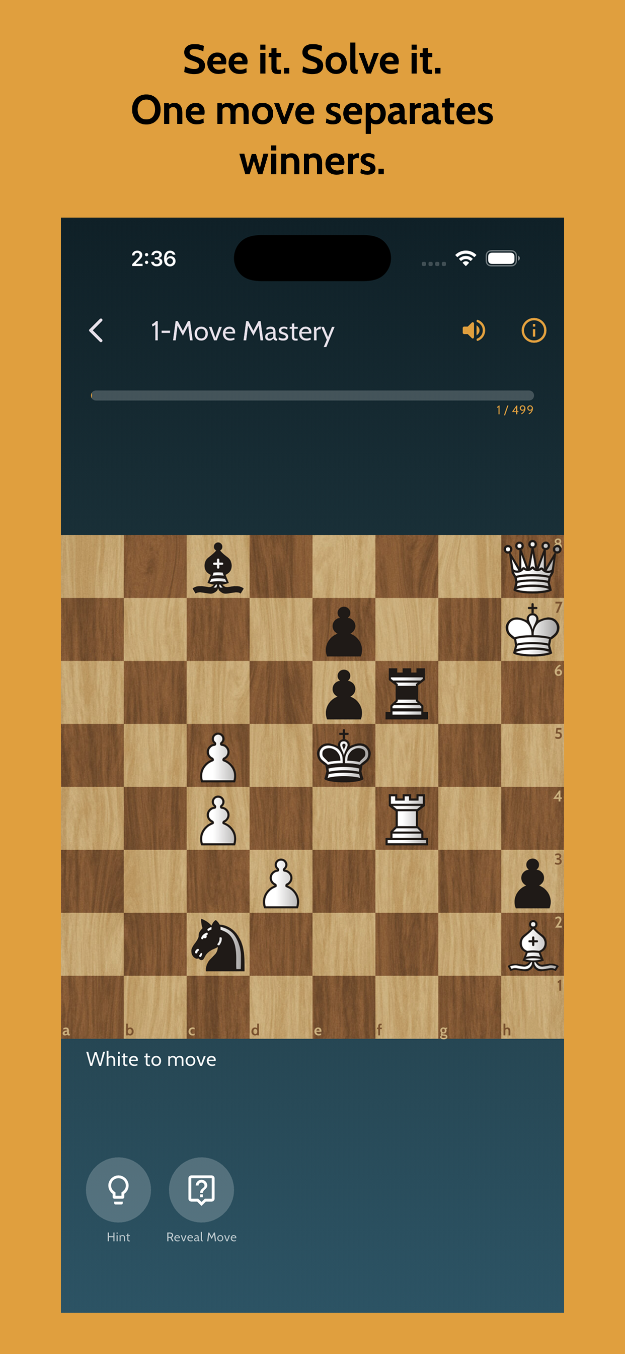 Chess Coach: Learn & Play screenshot 6