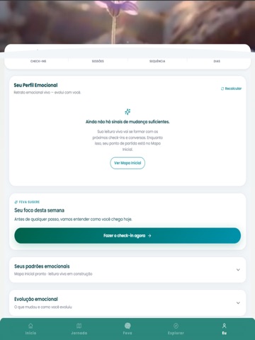 FEVA iPad screenshot
