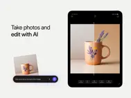 Shopify – Din e-handelsbutikk ipad bilder 3