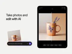 Shopify: Sell online/in person iPad image 4