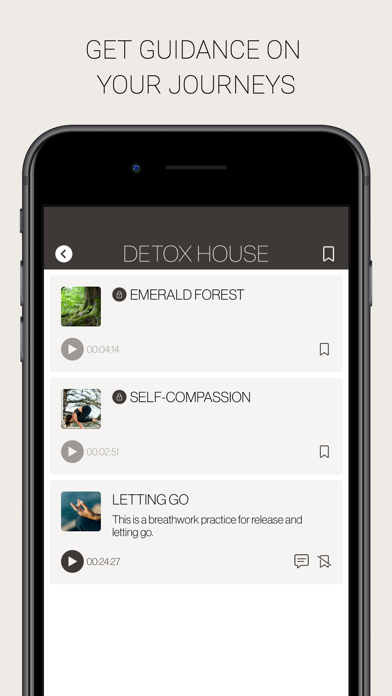 Detox House Screenshot