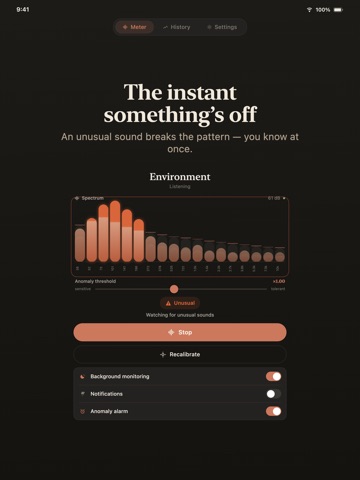 Sound Anomaly: Noise Monitor iPad screenshot