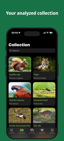 Animals ID: AI Identifier screenshot