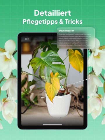 Pflanzen Bestimmen: LeafSnap iPad screenshot 3