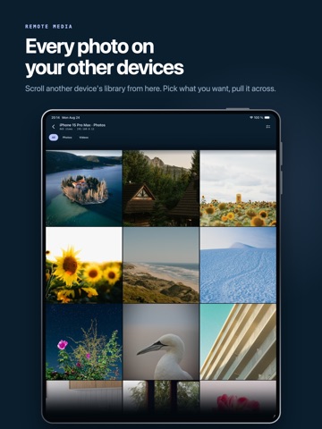 YEET Share iPad screenshot