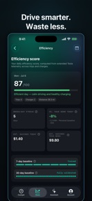 Wristla: Tesla AI Assistant screenshot
