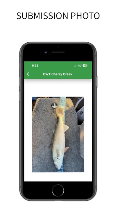 eTournament Fishing Screenshot