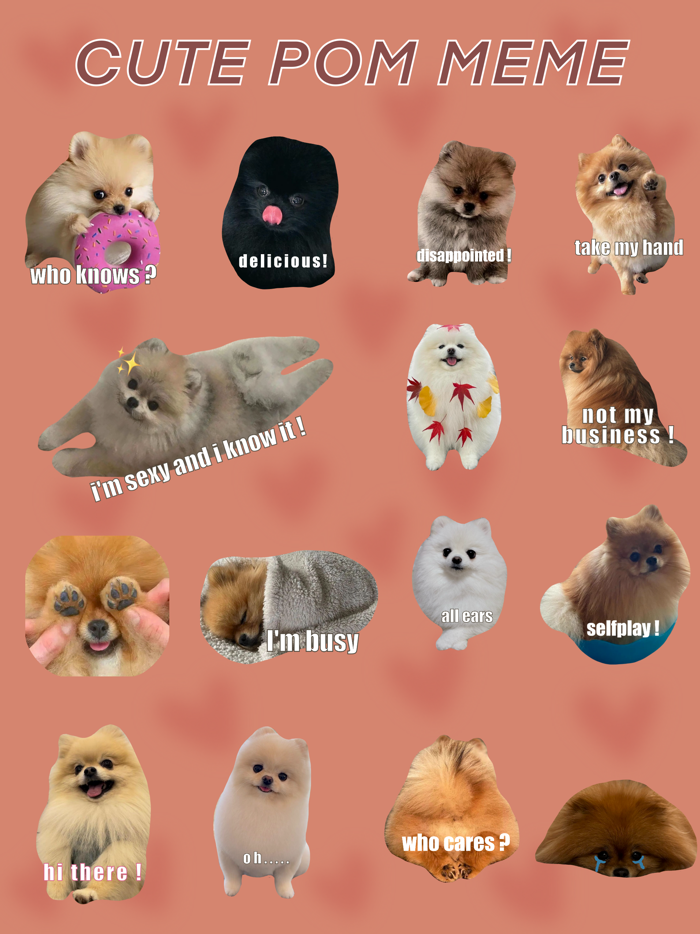 Cute Pom Meme
