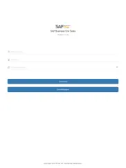sap business one sales ipad bildschirmfoto 1