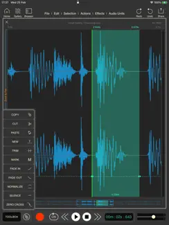 Wavebox Audio Editor iPad image 1