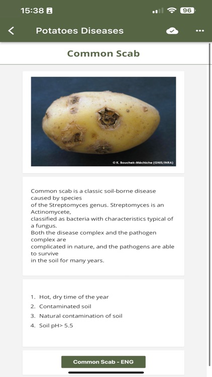 Potatoes SA screenshot-3