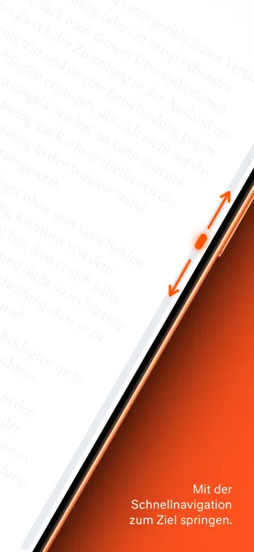 LX Gesetze. screenshot 6 of 7