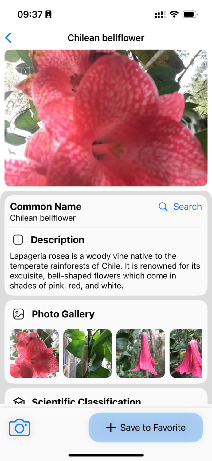 Plant Identifier AI Scanner