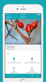 Medicinal Plants PRO · NM screenshot