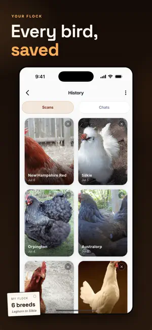 Chicken Identifier: Breed ID screenshot 3