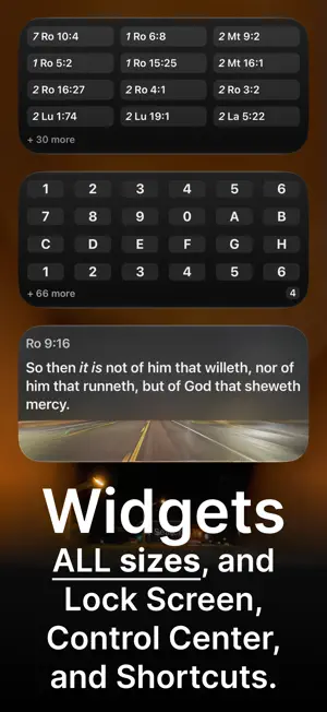 Bible Authorized Version screenshot 3
