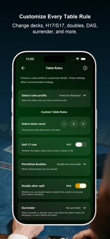Blackjack Strategy & Counting screenshot