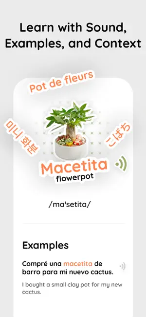 StickerWords: Photo Vocabulary screenshot 4