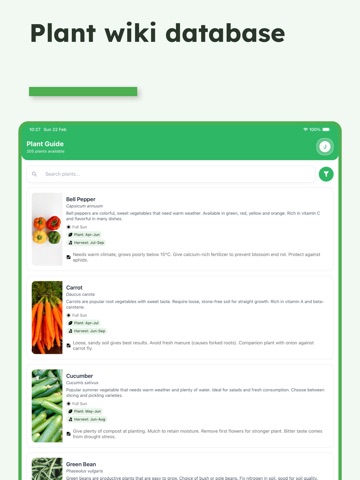 Verdy iPad screenshot