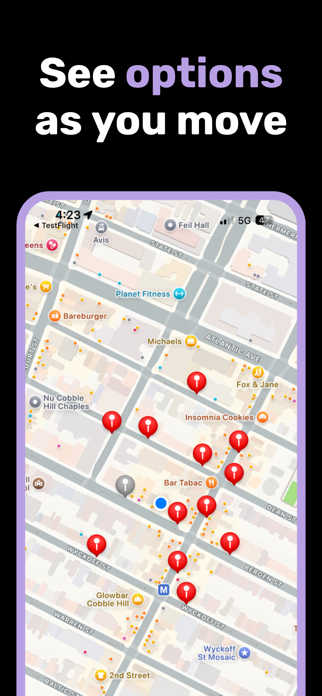 Smart Park NYC - Tiny Parking Screenshot 3 of 3