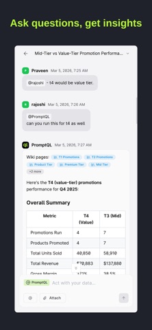 promptql iPhone screenshot