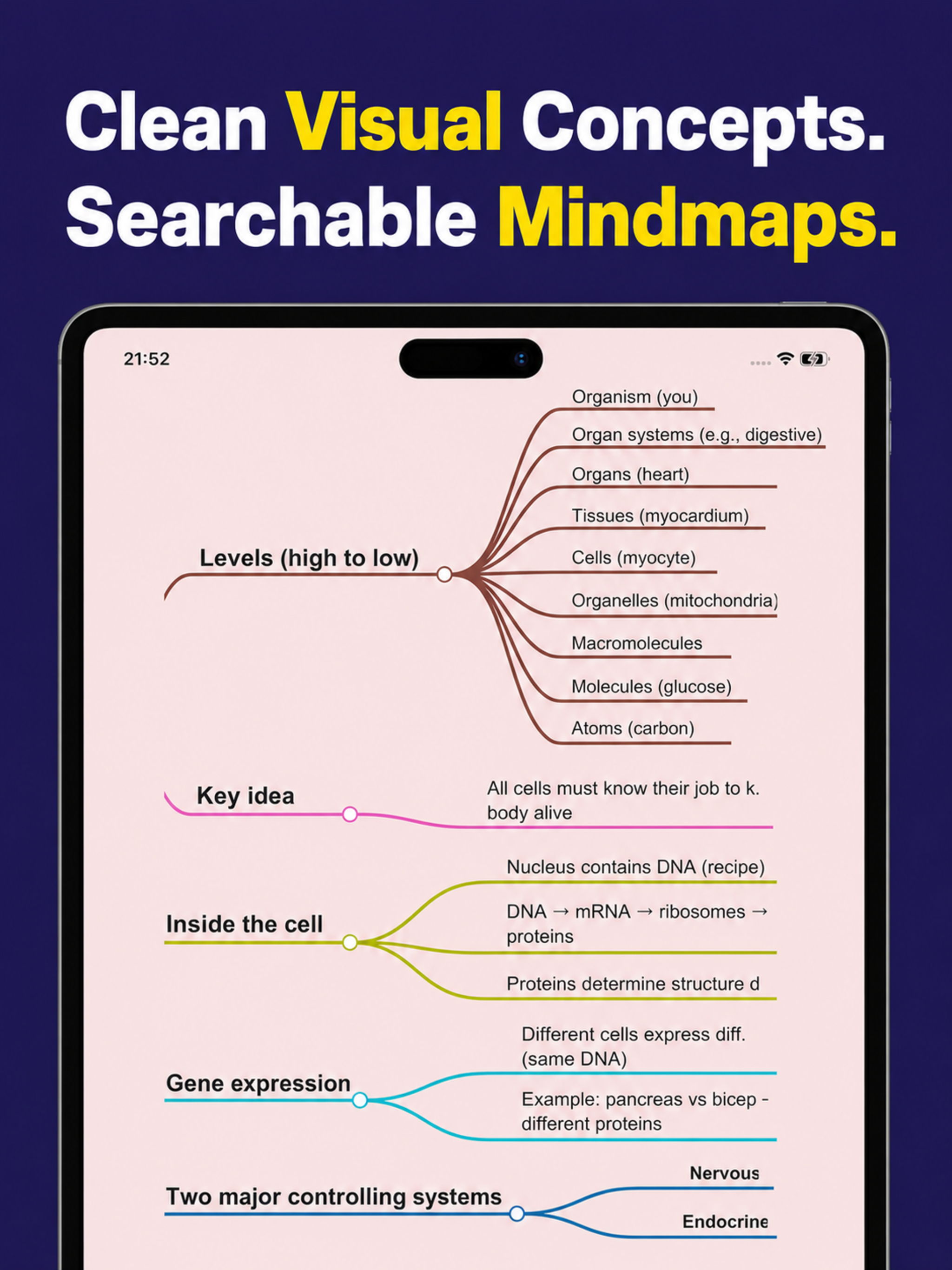 MasteryAI: Feynman AI Study