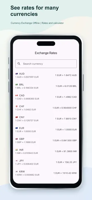 Currency Exchange Offline screenshot 2