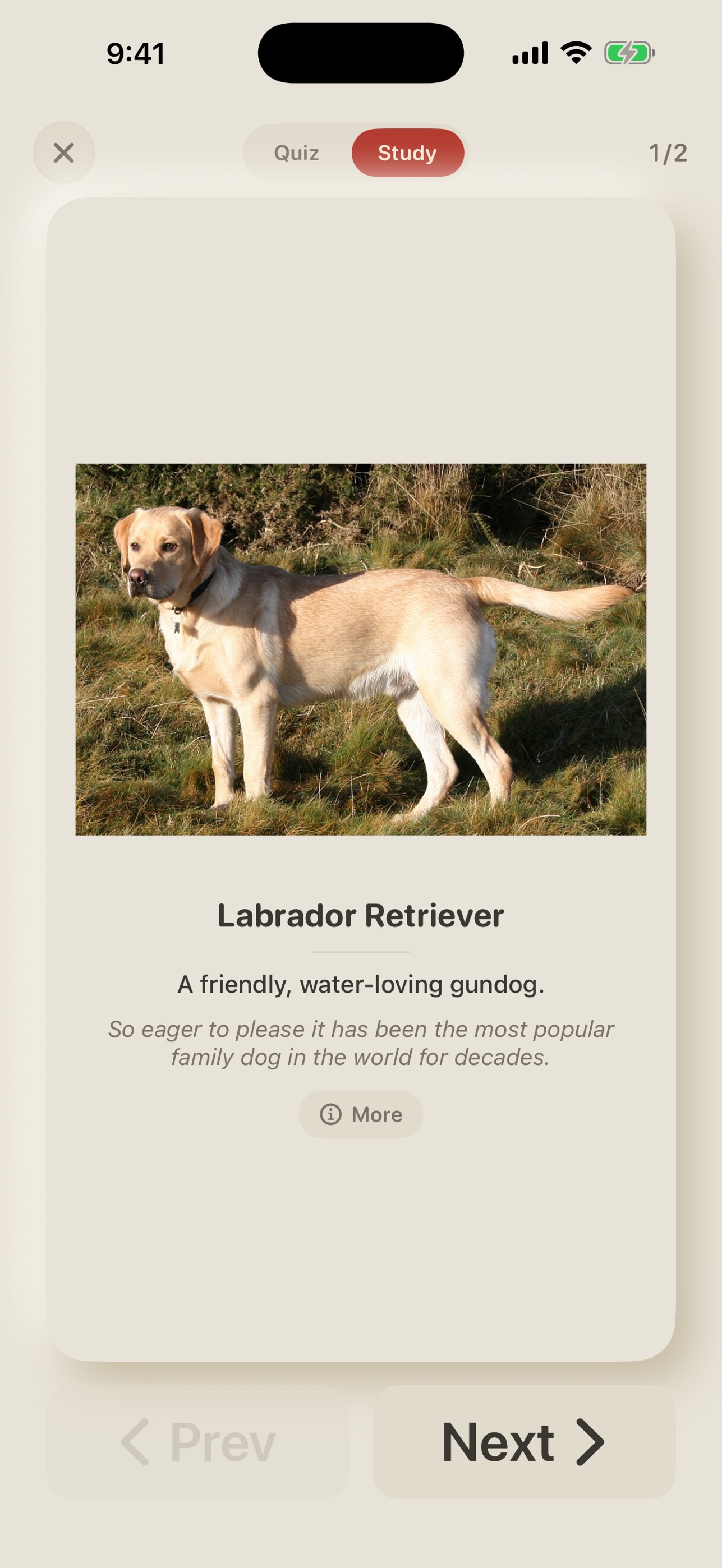 Screenshot 4 of Flashy Learn