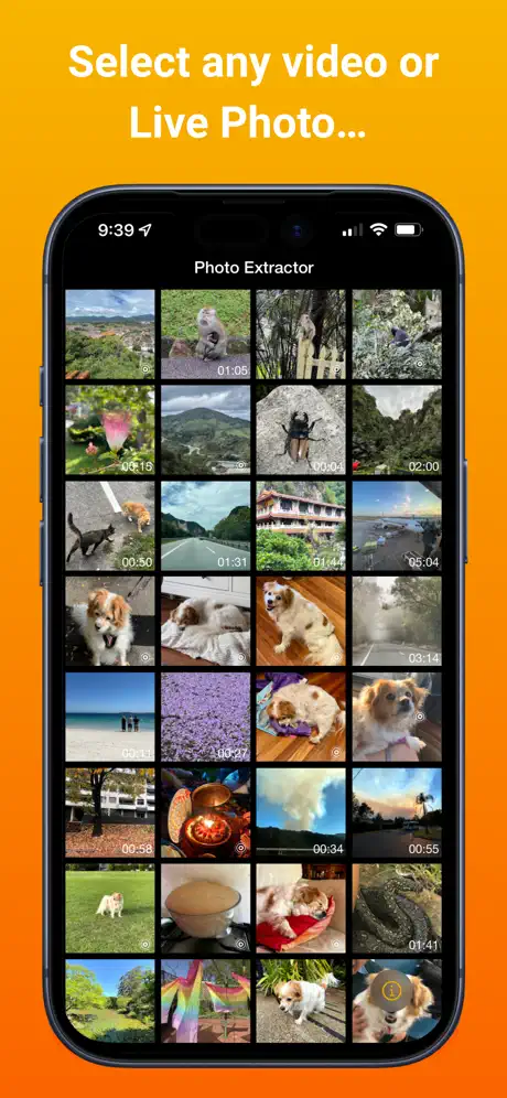 Photo Extractor screenshot 2