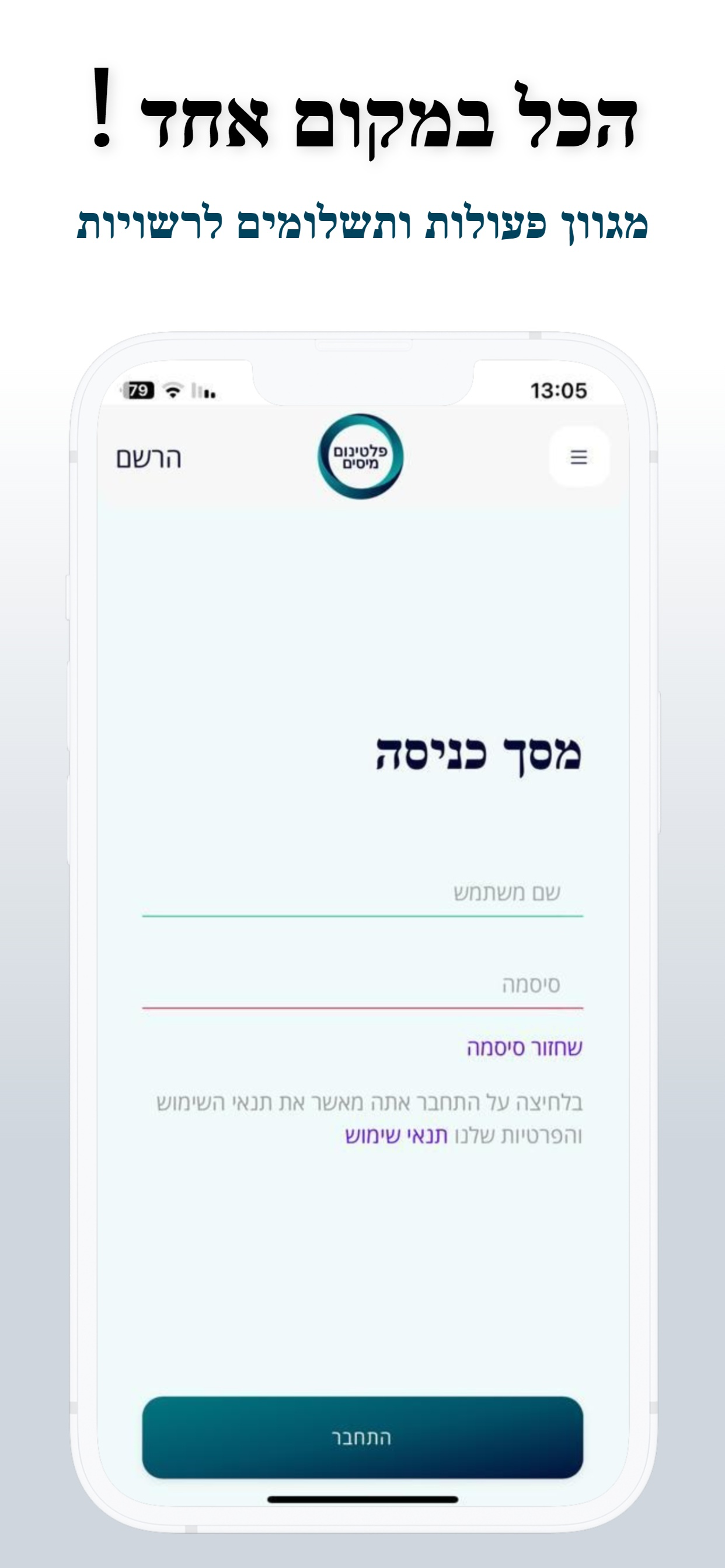 פלטינום מיסים