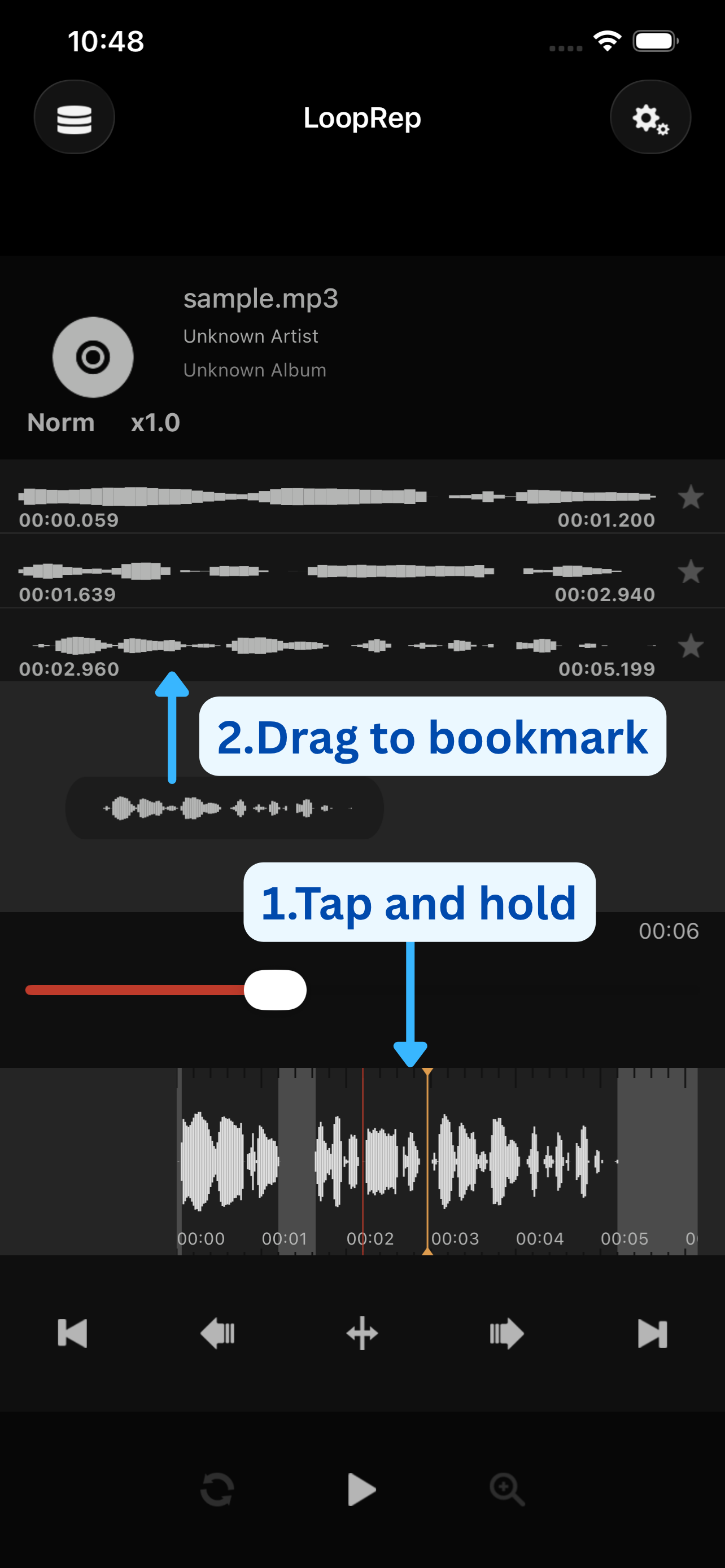LoopRep