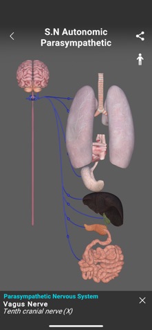 Osteopathy Genius - 3D Maps Screenshot 3 of 7